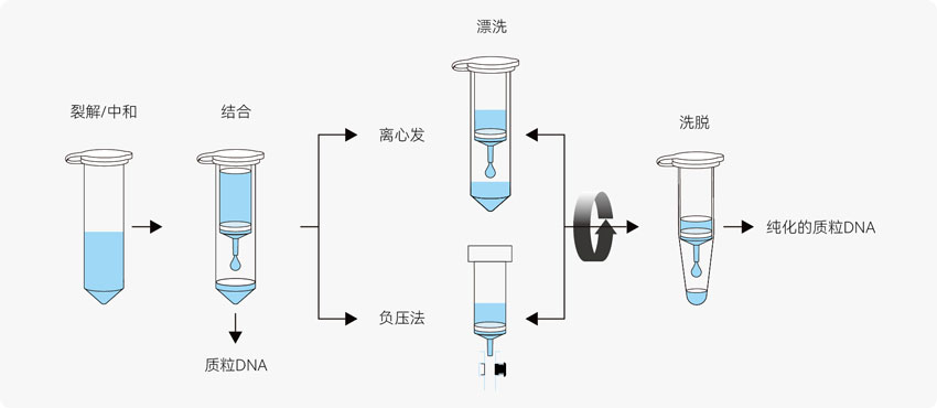 核酸提取纯化流程图