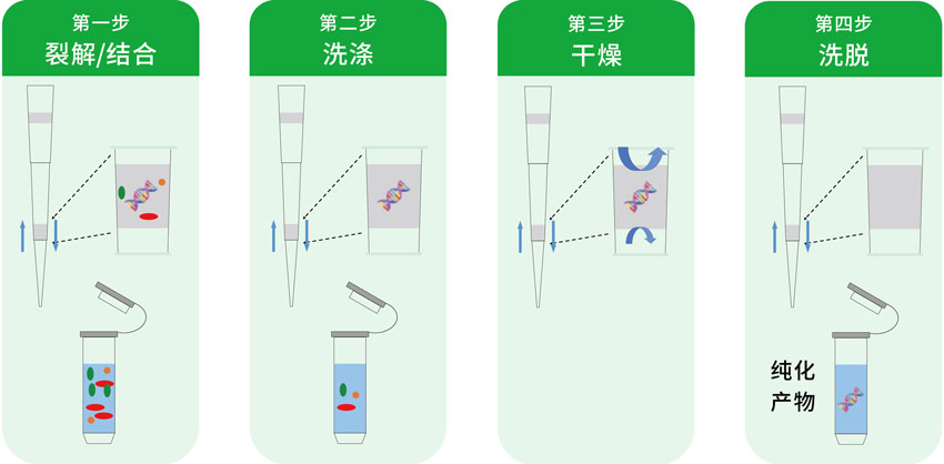 核酸提取流程图