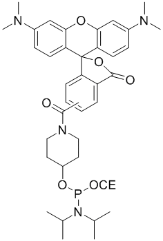 5-Tamra CED Phosphoramidite