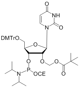 2'-O-PivOM-5'-O-DMT-Uridine 3'-CEP