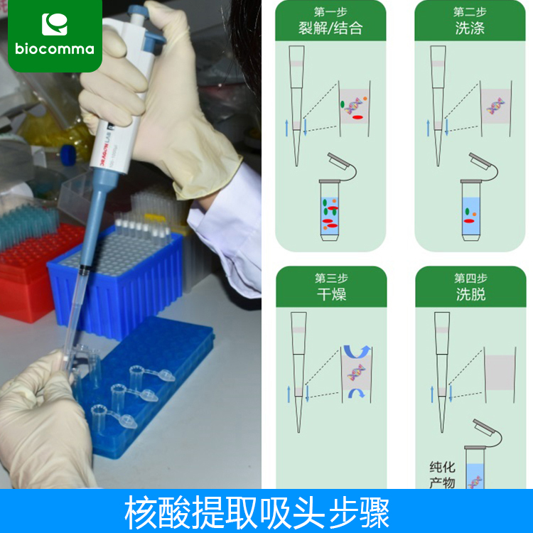 核酸提取吸头_步骤1 CommaTip® 核酸提取吸头