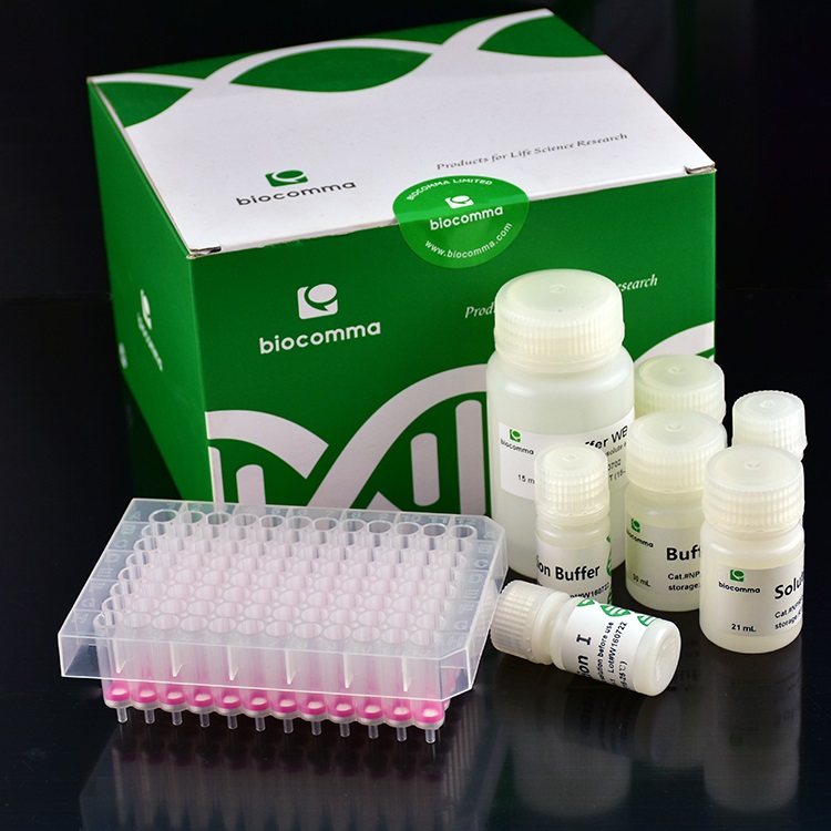CommaXP®  N96质粒小提纯化试剂盒