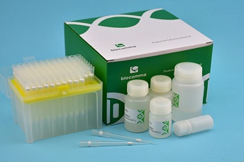 吸头法试剂盒 粪便基因组DNA 提取试剂盒(TIP 法)