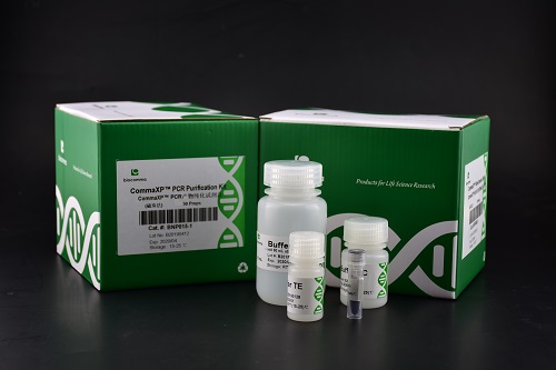 PCR产物纯化试剂盒 PCR产物回收纯化试剂盒(磁珠法)