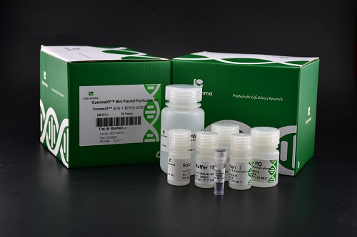CommaXP®唾液DNA提取试剂盒(磁珠法)