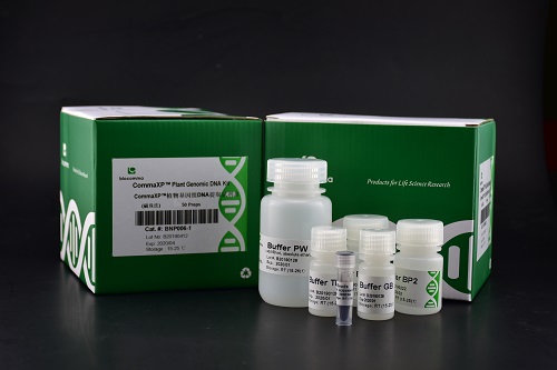 植物基因组DNA提取试剂盒（磁珠法）