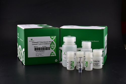 血液基因DNA 试剂盒 唾液DNA提取试剂盒(磁珠法)