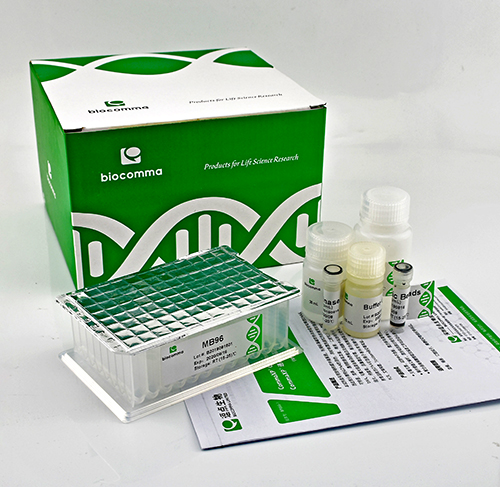 磁珠试剂盒-3 CommaXP®通用型基因组DNA提取试剂盒(MB96-磁珠法)
