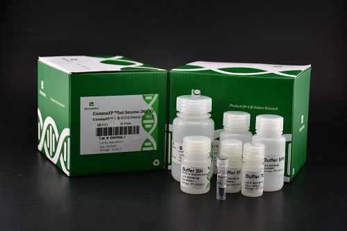 CommaXP® 动物组织基因组 DNA 提取试剂盒（磁珠法）
