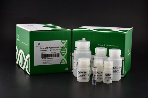 1575878511(1) 病毒DNA/RNA提取试剂盒(磁珠法)
