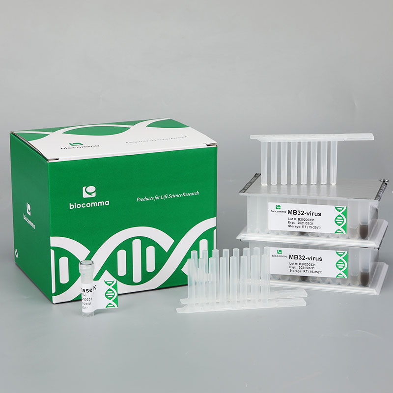 粪便基因组 DNA 提取试剂盒（预分装磁珠法）