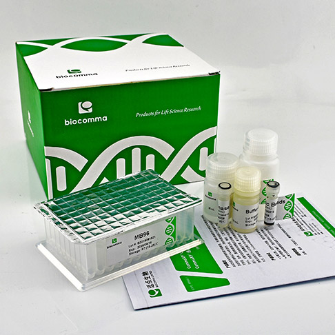CommaXP® 非洲猪瘟病毒核酸提取试剂盒（MB96-磁珠法）