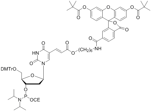 Fluorescein dT CED phosphoramidite