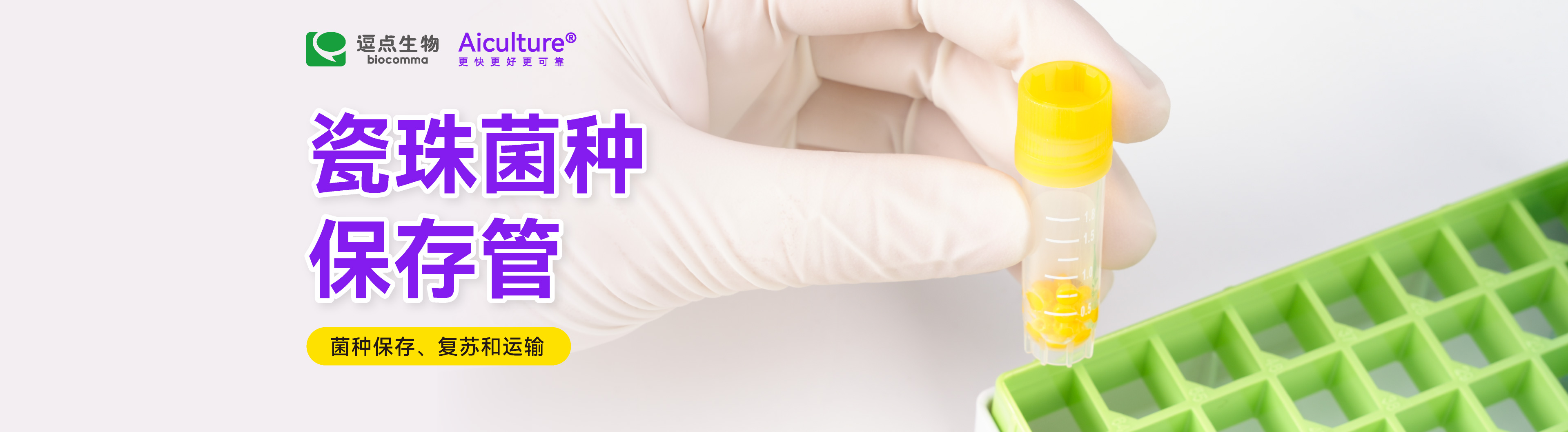 瓷珠菌种保存管