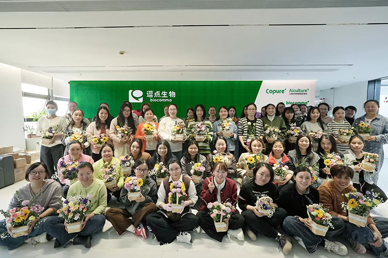 三八女神节（深圳）